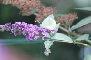 Canal Nantes Brest 046