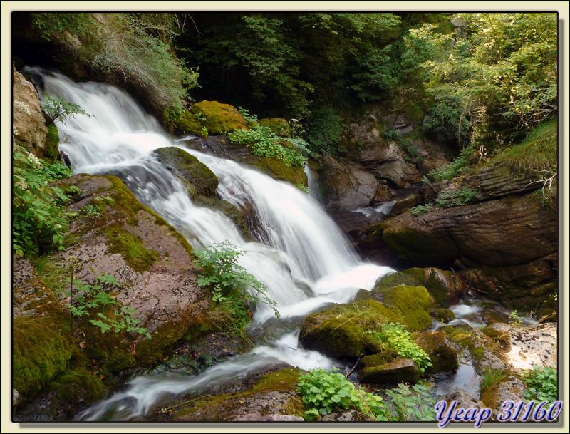 Source du Rio Llobrégat - Castellar de N'Hug - Espagne