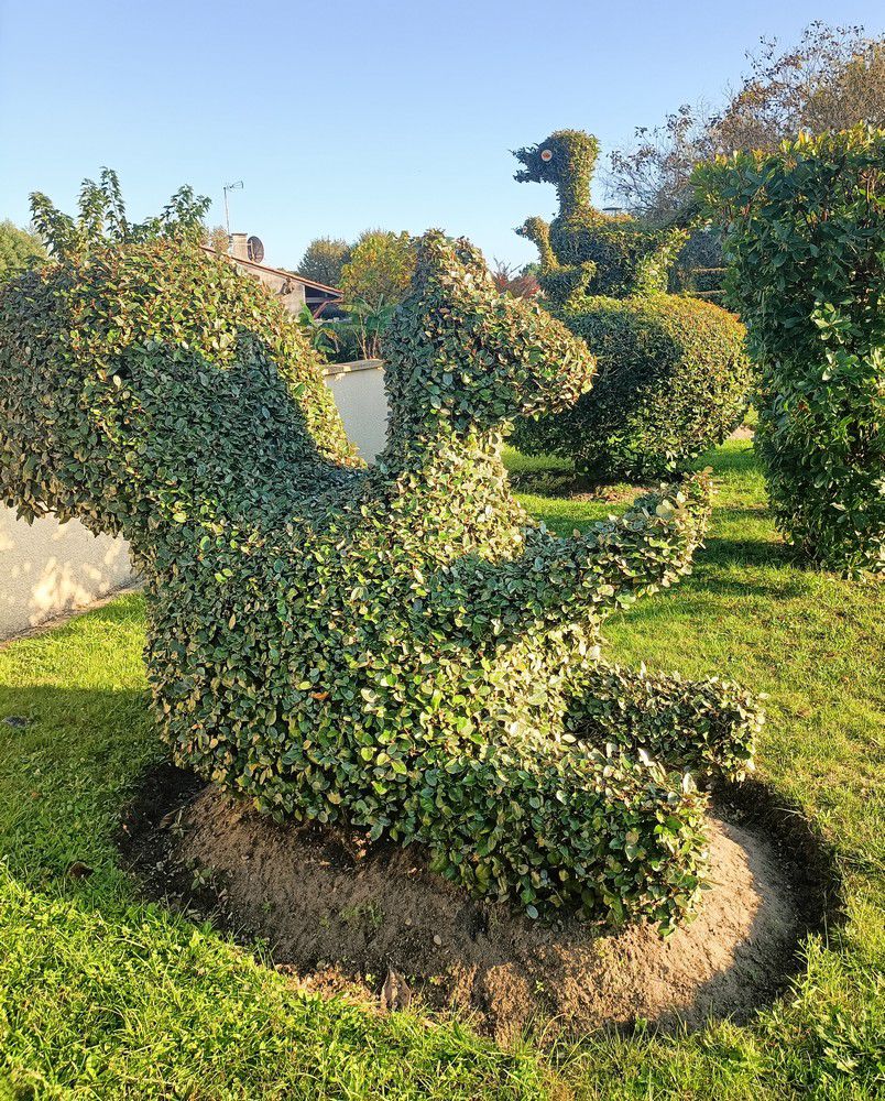 Ecureuil et oiseaux en art topiaire - novembre 2024...