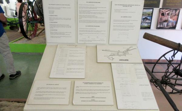 Les adhérents de la Société Mycologique du Châtillonnais ont visité l'Eco-Musée de la Forêt d'Orient dans l'Aube.