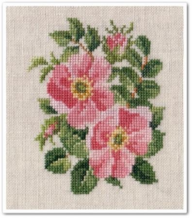 Wild Roses Motifs 7