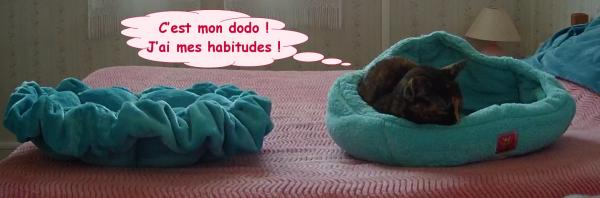 Ma nouvelle corbeille : un flop !