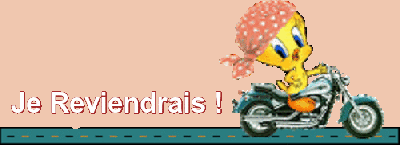 ღ꧁ღ╭⊱ꕥ   A Savoir A Voir … ꕥ⊱╮ღ꧂ღ