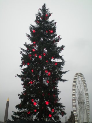 Image36.jpg