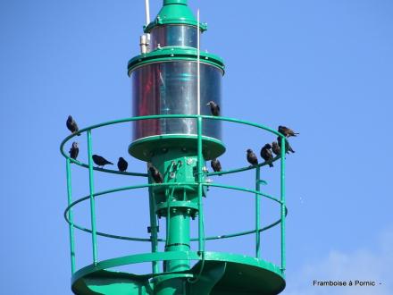 Préfailles - La pointe Saint Gildas et le sémaphore - 2022