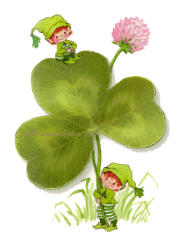"Le trèfle" à la St Patrick ! ...