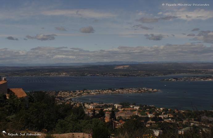 Sète... vu du haut du Mont Saint-Clair
