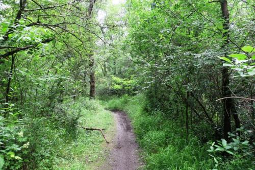 Randonnée "Au fil de l'eau" à NERS