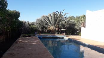 Depuis Essaouira