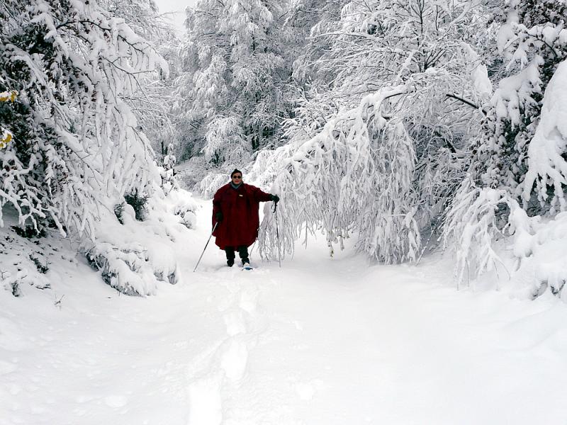 14 décembre 2008: le photographe - Route forestière de Picon - Milhas - 31
