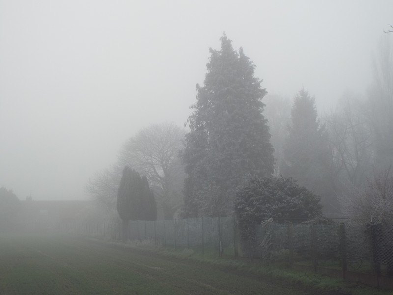 Brouillard 