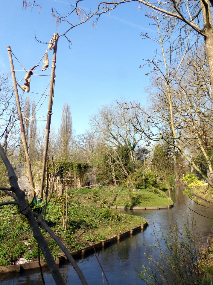 Le parc du Zoo d'Amiens