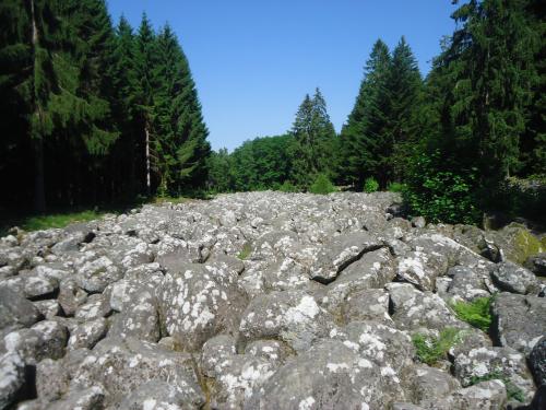 "Séjour dans Les Vosges" - 6 au 13 juin 2015