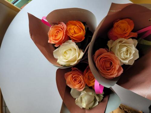 Danse inclusive 24/25