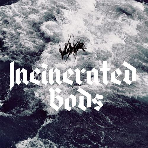VUYVR_Incinerated Gods