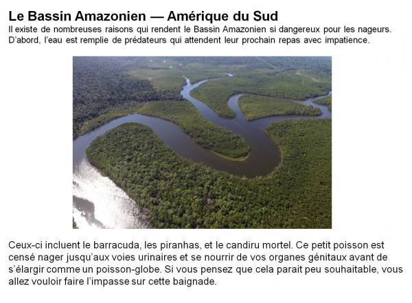 Beaux mais dangereux