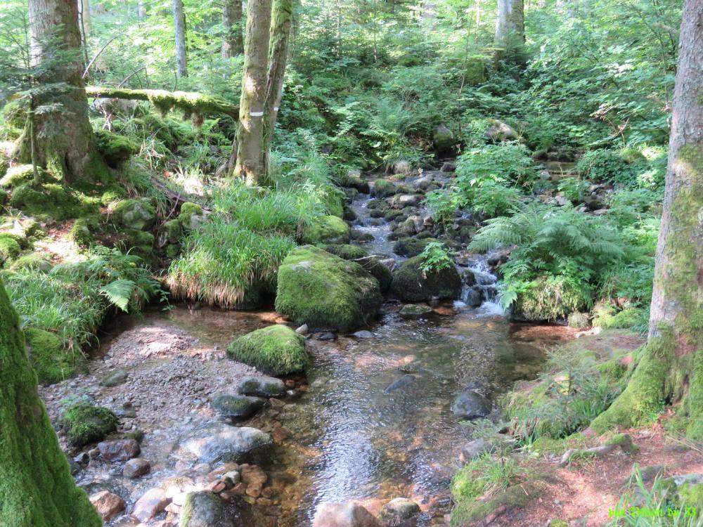 Randonnée à Stosswhir  -2