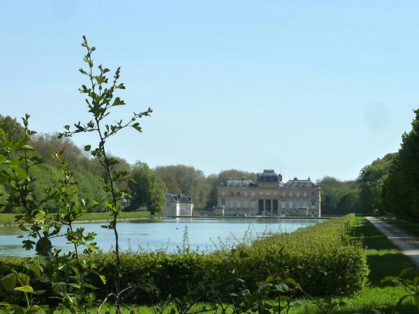 Symphonie en bleu et jaune avec Générations 13