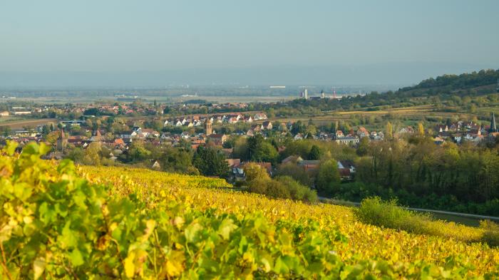 Département du Bas Rhin