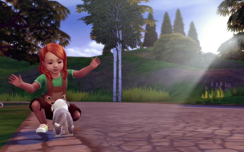 [CALF] Eté 3 - Semaine 13 - Jours 87 à 91