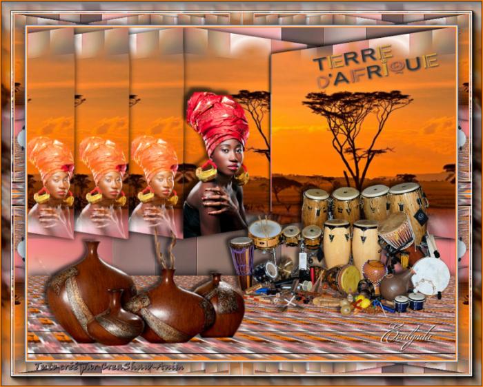 Terre d'Afrique
