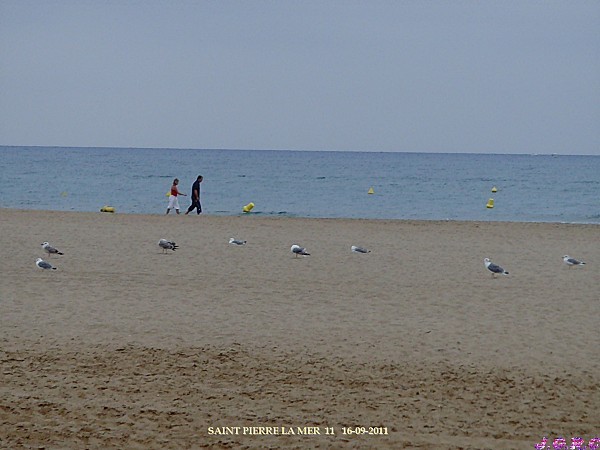 SAINT-PIERRE-LA-MER--16.09.2011-003.jpg