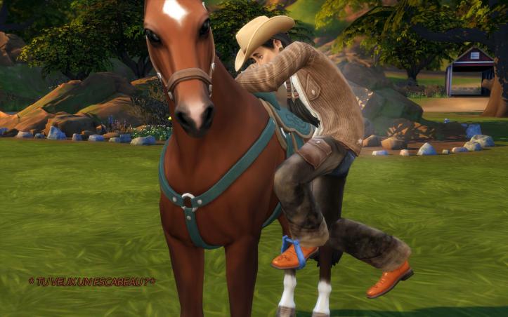 [Vie au ranch] Célian apprend à faire du cheval #2