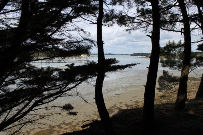 Pointe de l'Ours (18)
