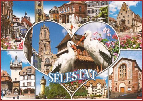 ⊱♥⊱╮ღ꧁ Aujourd'hui Département 67 ꧂ღ╭⊱♥≺