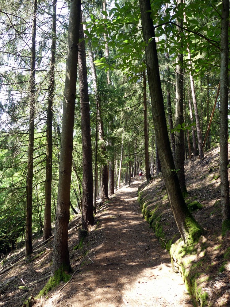 Le chemin