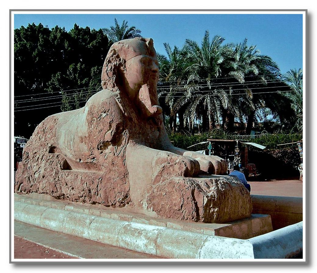 EGYPTE No 5 fin