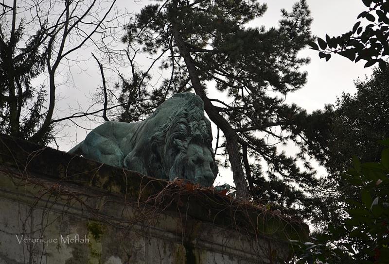 Jardin des Plantes : La Fontaine aux Lions