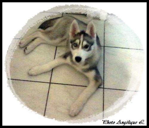 Jeska (3,5 mois)