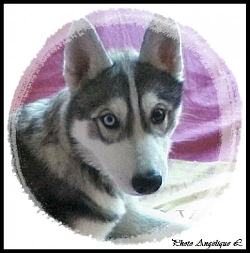 Jeska (4 mois)