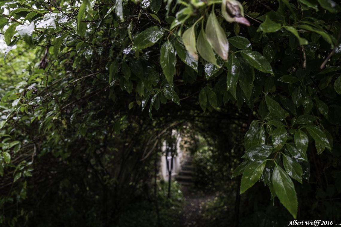 Le patrimoine prend l'eau