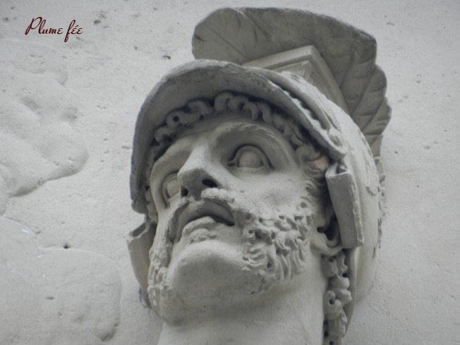 Image51.jpg