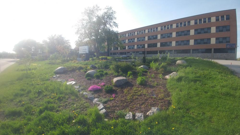Jardin Pédagogique du Collège Nouvelles Frontières au printemps, le 20 mai 2022