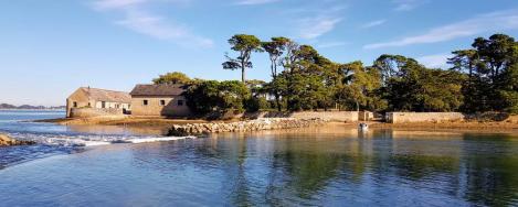 Découvrez l'île Berder près de Larmor-Baden dans le Golfe du Morbihan