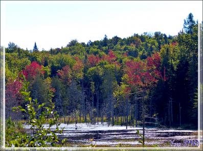 Débuts de couleurs d'automne sur la route vers Grandes-Piles - Lanaudière - Québec - Canada