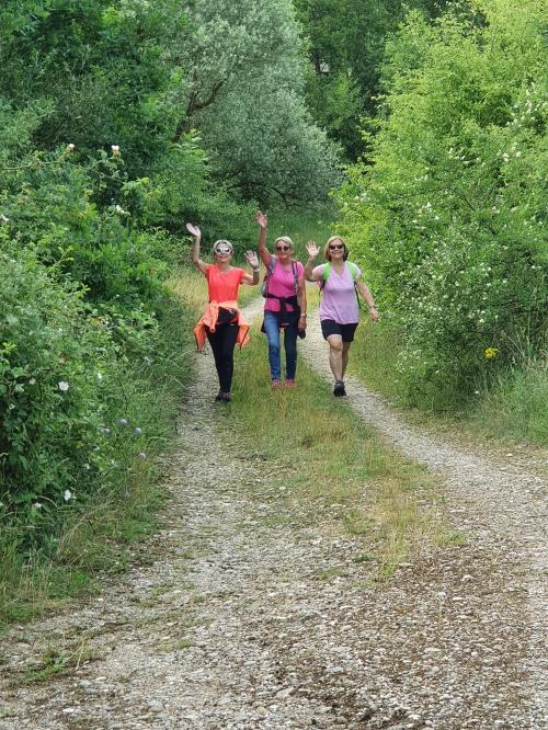 CR RANDO DES FOULEES GONDREVILLOISES 2022