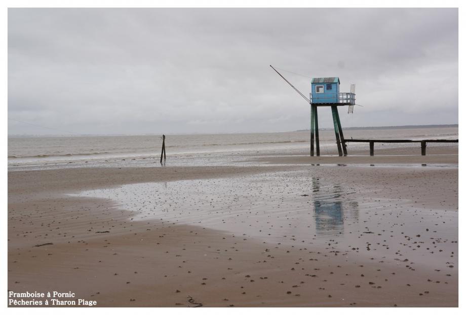 Pêcheries à Tharon Plage 