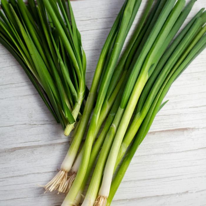 Légumes du mois d'Août