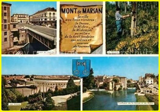 ⊱♥⊱╮ღ꧁  40 LES LANDES ꧂ღ ⊱♥≺  