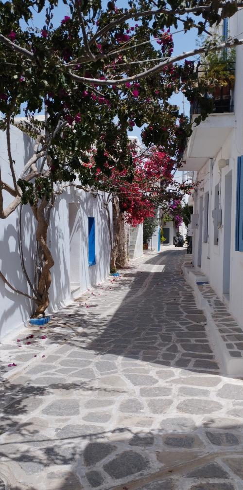 PAROS en couleurs !