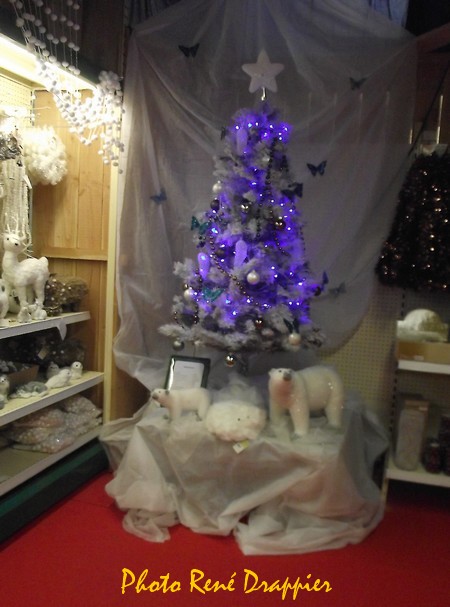 C'est déjà Noël au magasin Gamm Vert de Châtillon sur Seine...