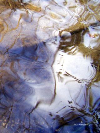 Les Emanants de Pascale