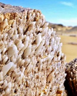 L'incroyable  désert blanc