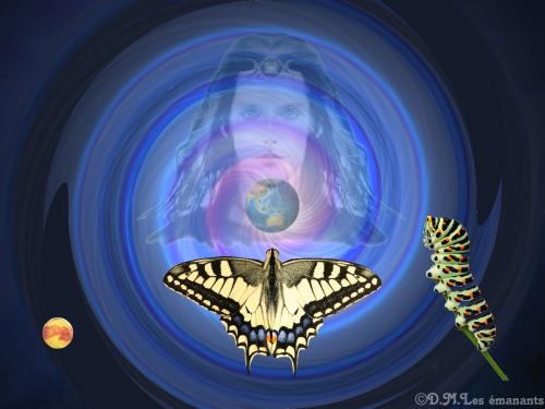 LA METAMORPHOSE DANS LA NATURE