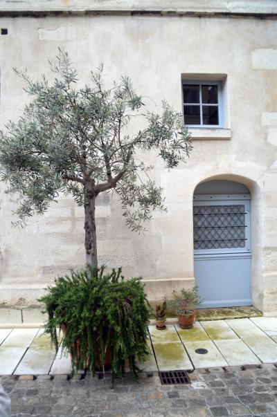Journées du Patrimoine : Visite du Château de la Reine Blanche