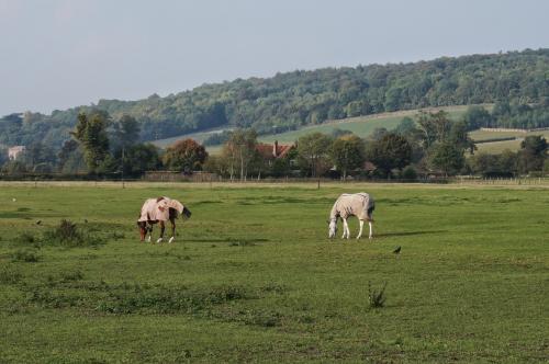  * Paysages bucoliques du Kent
